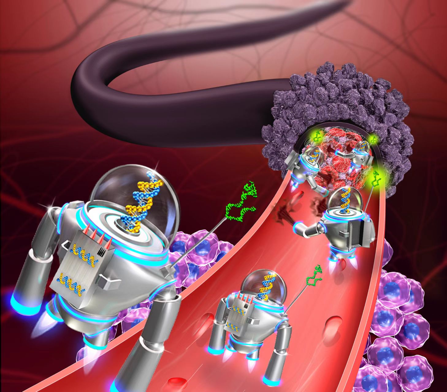 【Nature子刊】创新DNA纳米机器人——既可以调节血管又可以检测癌症