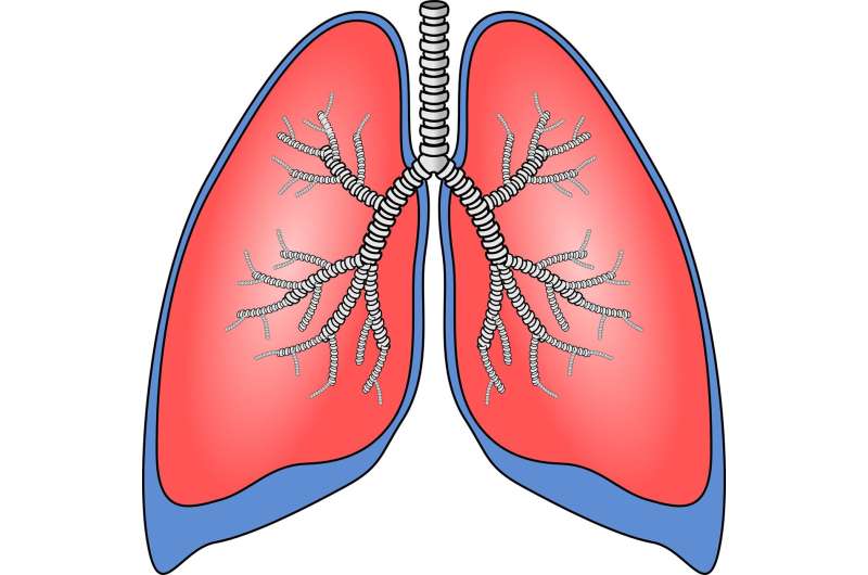 【Nature子刊】跨祖先全基因组关联研究——揭示了肺癌的新遗传风险因素