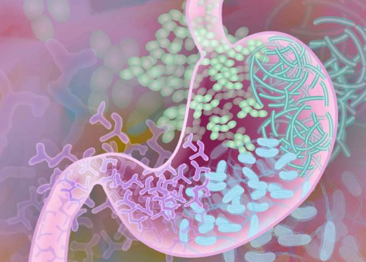 【Science子刊】产生组胺的肠道细菌会引发慢性腹痛！