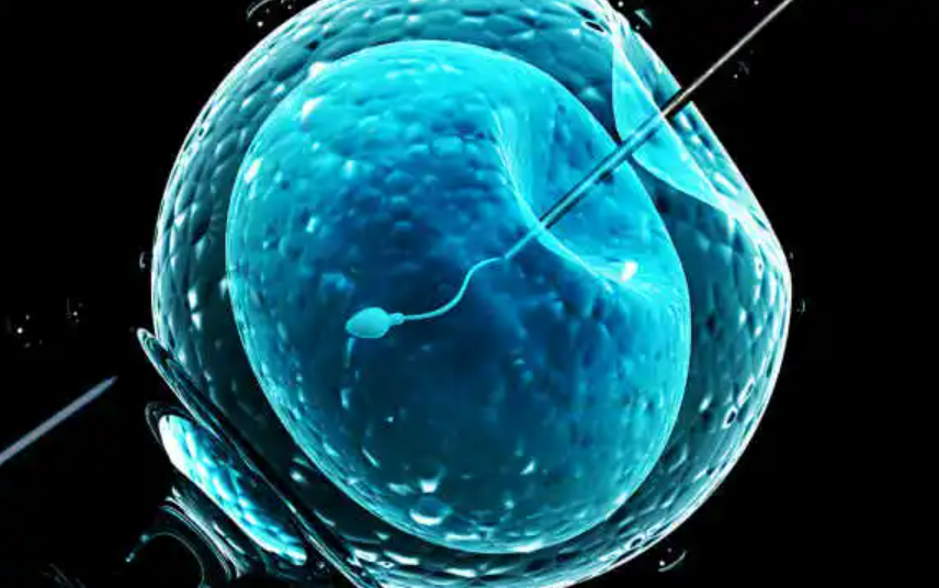 【Science子刊】单细胞测序应用于男性不育——优化圆形精子细胞注射技术新途径