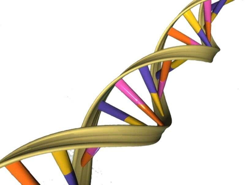【Nature子刊】全基因组测序验证近四分之三的DNA受到严重损害