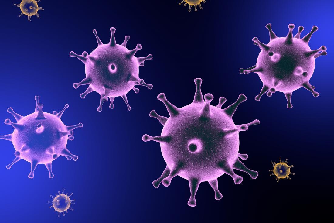 【PNAS】病毒也会“捉迷藏”: 致癌病毒逃避免疫系统，加速肿瘤生长