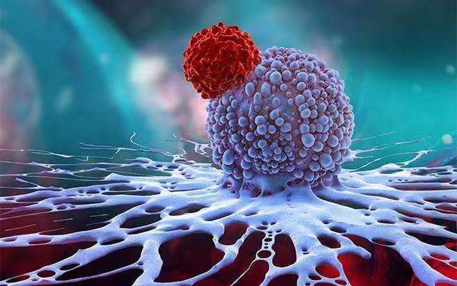 【Cell子刊】曹雪涛院士团队揭秘葡萄糖代谢的增加促进癌症转移
