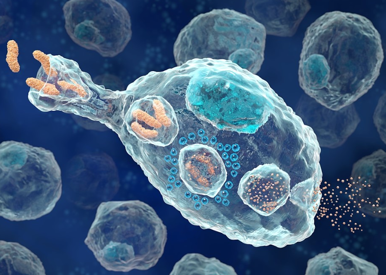 【Cell子刊】浙江大学团队揭示了钾离子在肿瘤微环境中调控巨噬细胞免疫代谢的机制