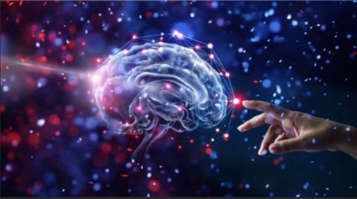 【Science子刊】打破传统观念！北京大学罗冬根团队发现维持昼夜节律的新机制