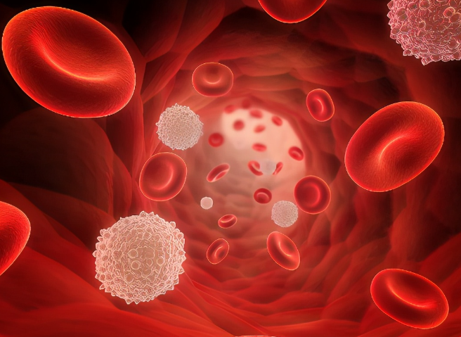 【Cell子刊】重磅！造血干细胞实现人工制造！或可解决其供体短缺问题
