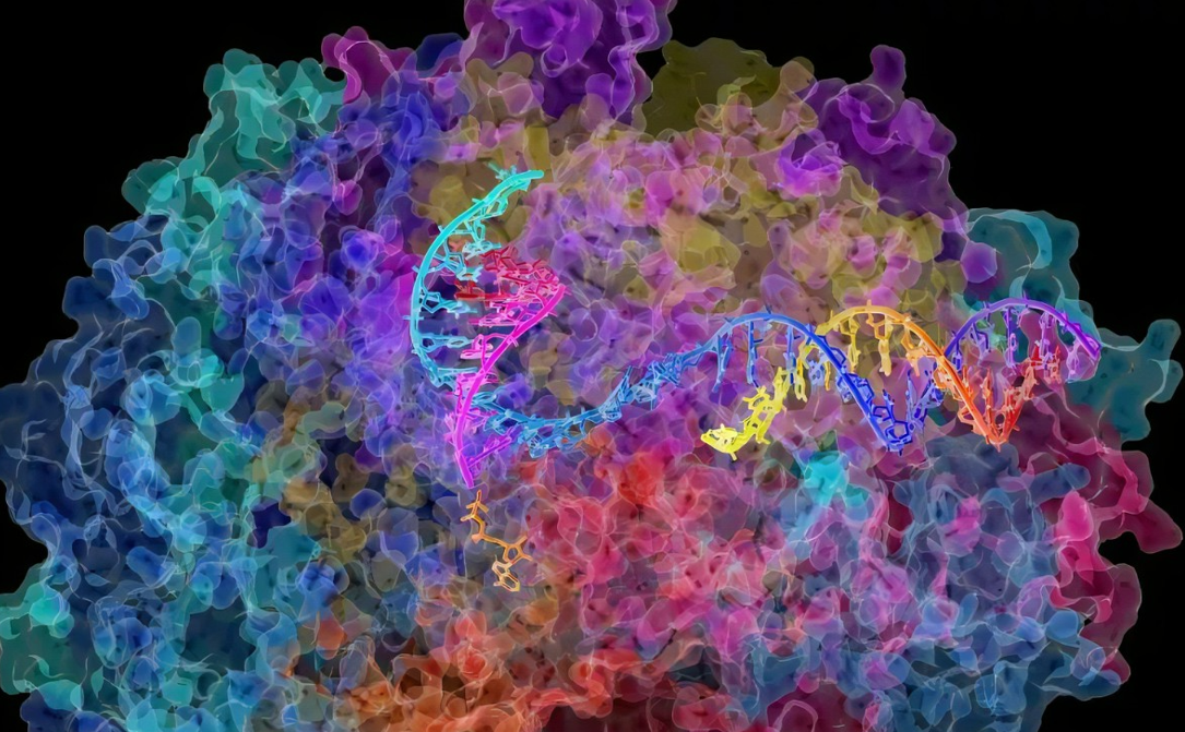 【Nature子刊】超越金标准PCR测试! CRISPR-Cas13实现便捷、高灵敏核酸检测