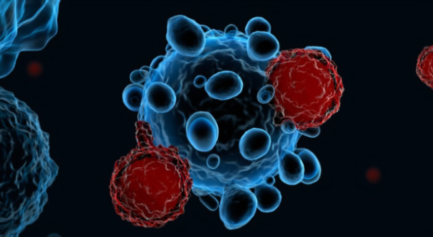 【Cell Research】浙江大学黄河/王东睿团队首次证明同种异体CD7-CAR-T细胞治疗恶性肿瘤的安全有效性