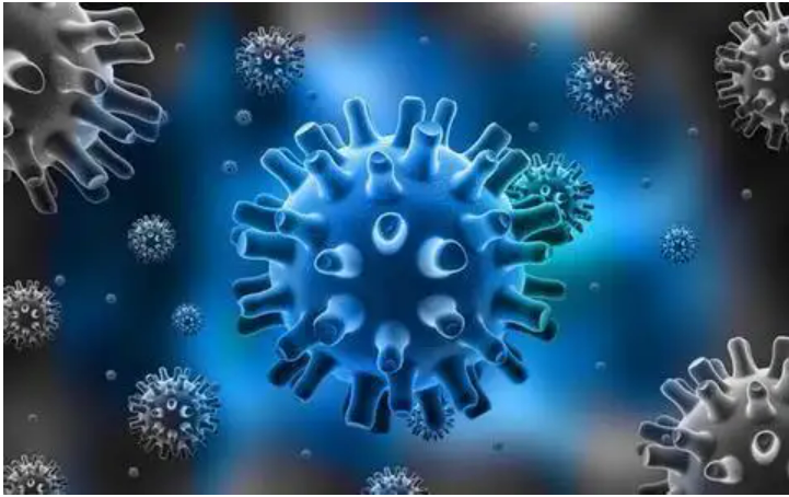 【Nature】中科院施一/高福团队首次解析埃博拉病毒聚合酶结构