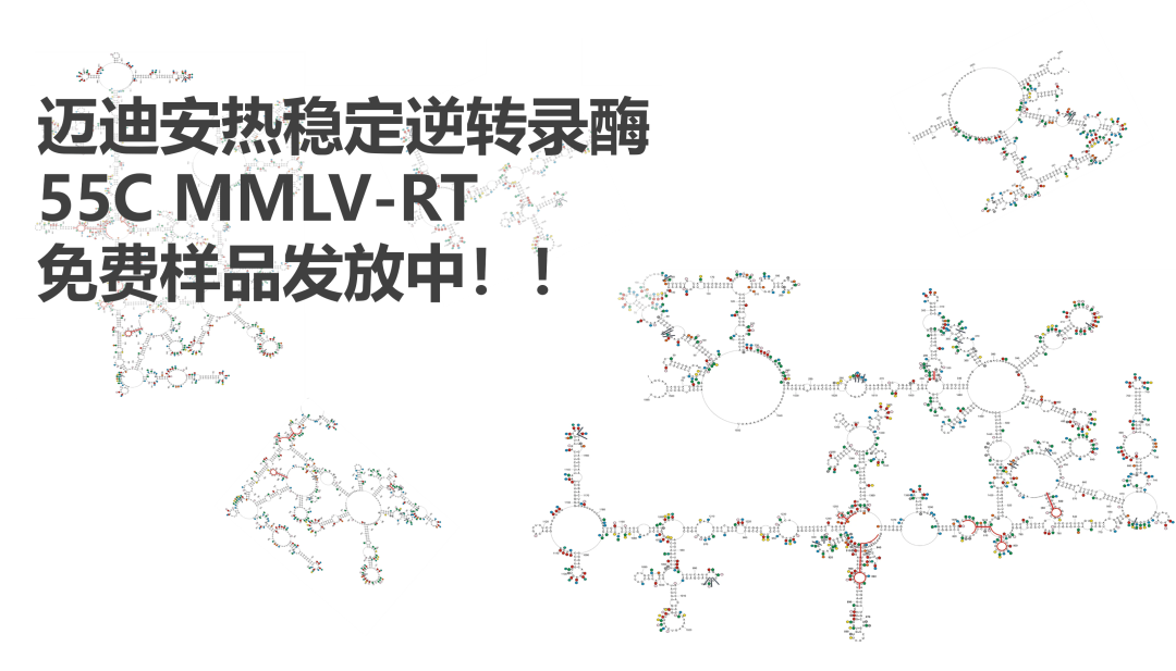 限量样品免费申请！Meridian全新可冻干热稳定逆转录酶！