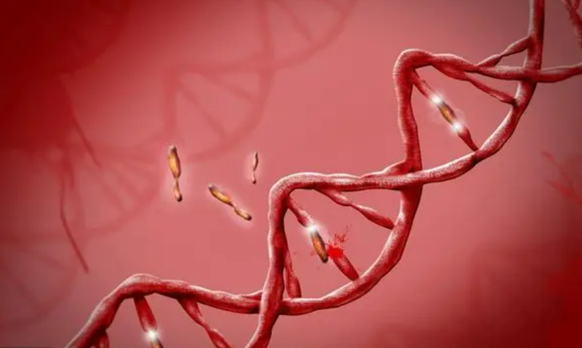 “人造红细胞”首次用于人体试验！或将彻底改变血液疾病患者的治疗