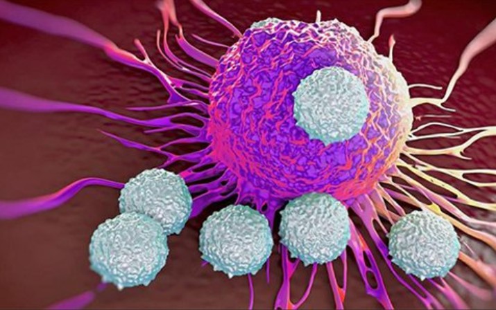 新兴癌症标志物！上海交大研究团队发现促进肿瘤发生和侵袭性的潜在机制！