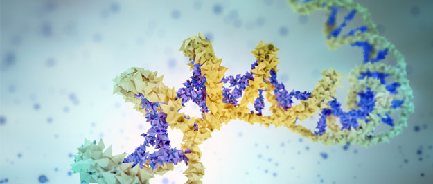 【CANCER DISCOV】约翰霍普金斯大学: 肝癌全基因组cfDNA片段化特征检测，实现高灵敏度特异性筛查