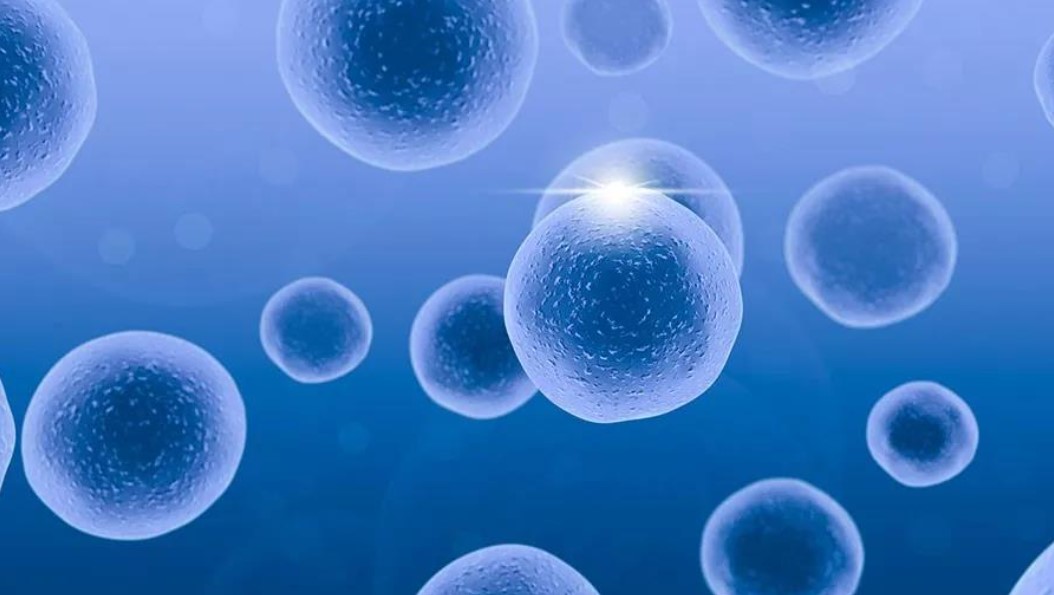 【Nature子刊】T细胞“叛敌”！最新研究发现：当T细胞力竭时，抑制抗肿瘤免疫力