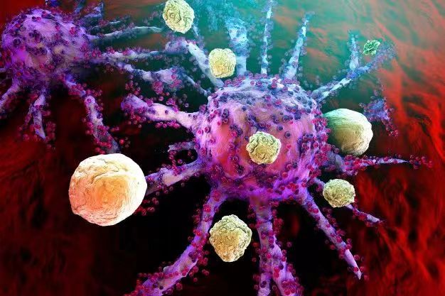 【Cell】基于35种癌症类型的研究：揭示癌症—微生物的相互作用机制