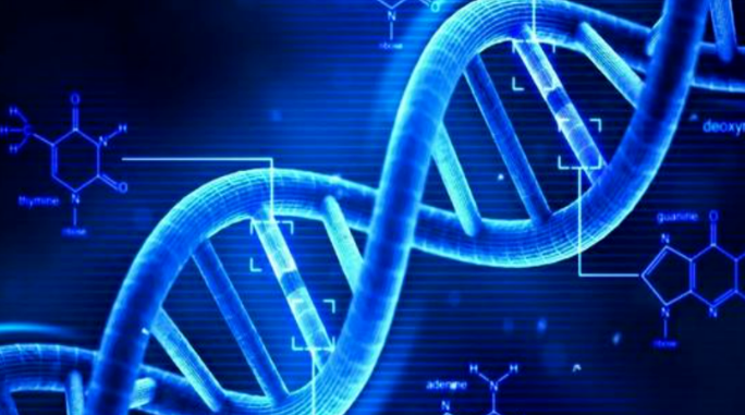 【Cell】新研究揭示人类5000多个必需基因表型图谱！