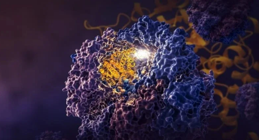 【Cell】长达70年历史的蛋白质折叠理论遭遇挑战！