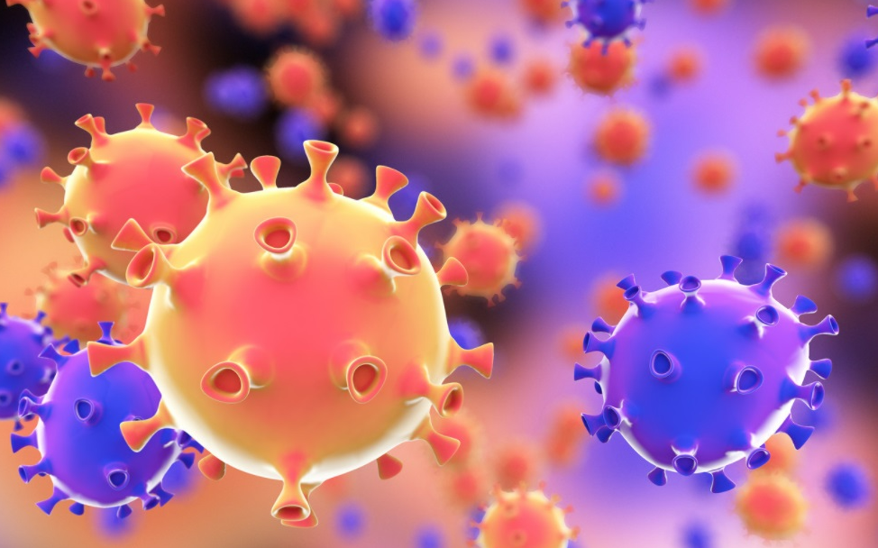 【Nature】武大病毒学国家重点实验室首次揭示冠状病毒受体领域最新成果！