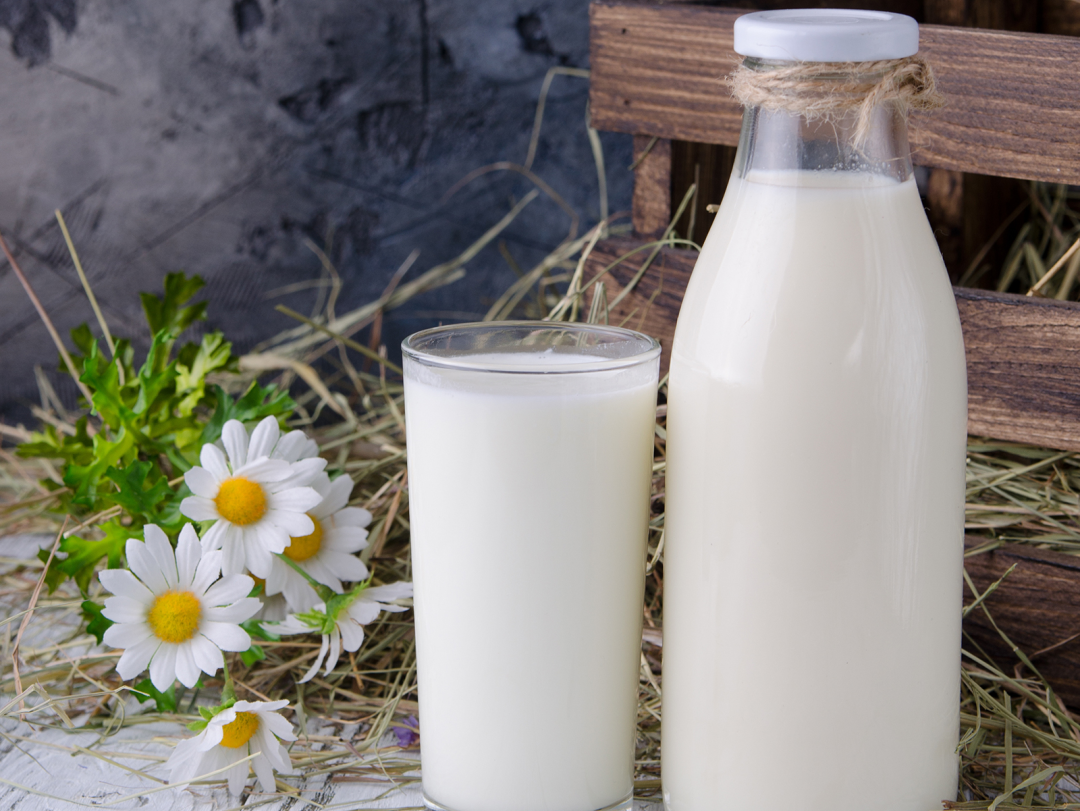 牛奶摄入也与癌症风险相关！超50万人研究表明牛奶摄入与12种癌症的关联！