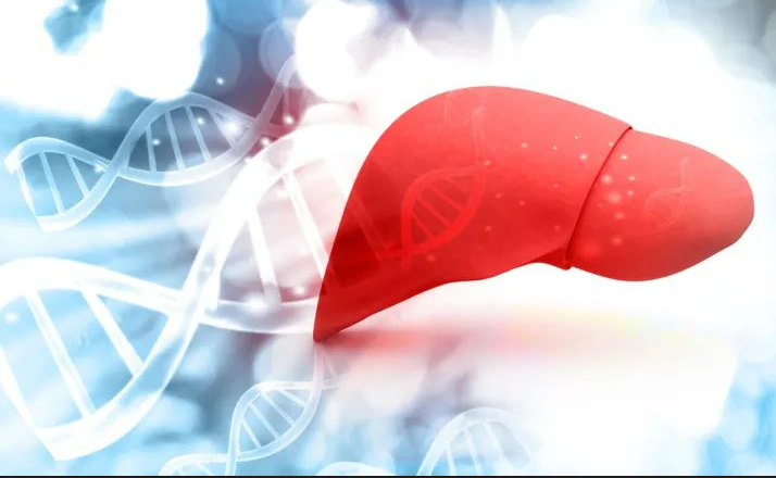【Science】脂肪肝“重男轻女”？植根于免疫和新陈代谢之间的进化权衡