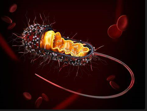 【Cell】颠覆经典认知！中法科学家在细菌中实现人工合成细胞器