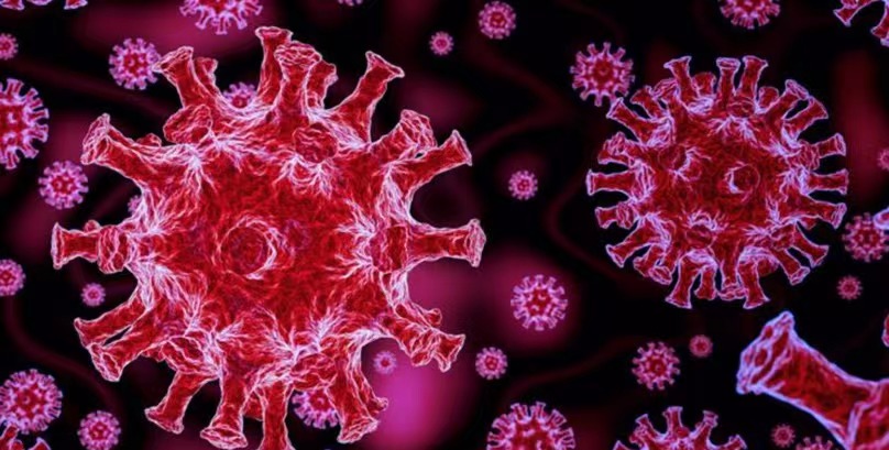【Cell子刊】冠状病毒感染肺部怎么办？研究发现肺泡巨噬细胞帮助 CD8+ T 细胞对抗病毒