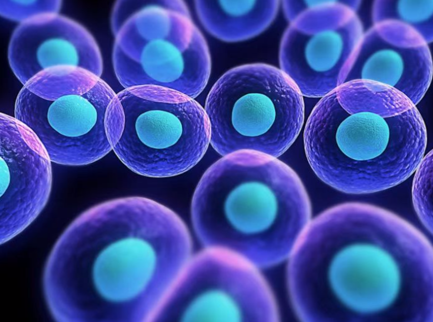 【Cell】史上最全人类肺细胞图谱问世！确定144 种细胞状态并揭示发育细胞与肺癌之间的新联系