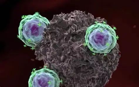 肿瘤破坏者——CAR-T细胞治疗“导弹”将走向何方？
