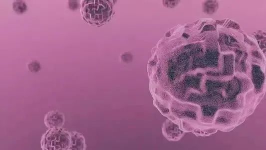 【Nature子刊】中科院广州健康院李鹏课题组发现提升CAR-T细胞疗效的分子机制！
