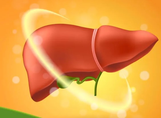 【Hepatology】增加55%以上！世界卫生组织发布18年后全球肝癌确诊及死亡人数大预测