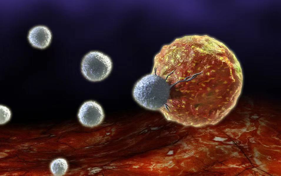 【Science子刊】CAR-T之父新研究！CAR-T细胞疗法能够消除实体瘤术后残留癌细胞，防止肿瘤复发