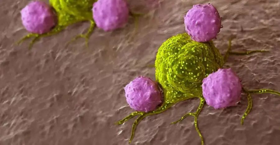 【PNAS】哈佛研究人员通过细胞因子标记的T细胞增强癌症免疫疗法