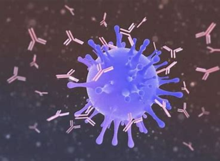 【Immunity】联合抗PD-L1的新型药物组合!研究发现这种组合可以攻克癌症免疫疗法耐药性