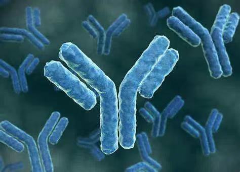 【Science】华盛顿大学最新研究揭示操纵肠道菌群能够减少阿尔茨海默病的神经变性！