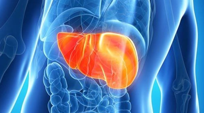 【Science子刊】最新技术加盟！研究发现可影响全球数百万人的晚期非酒精性脂肪肝的潜在新靶点