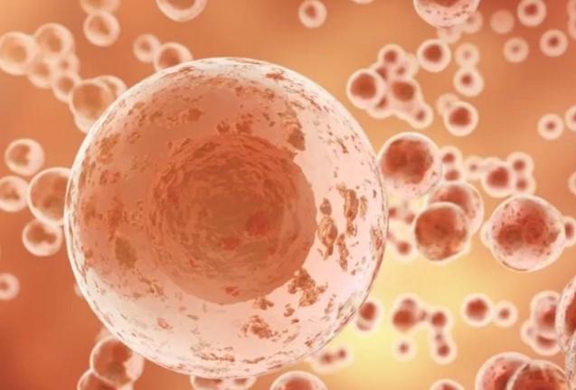 【Cell 子刊】拒绝癌症转移？最新研究发现或是阻止癌症转移的关键