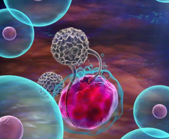 【Cancer Cell】四川大学华西医院石虎兵/马学磊团队发现循环肿瘤细胞免疫逃逸新机制