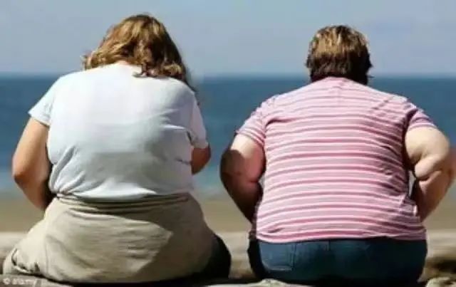 肥胖的人更容易痴呆？新研究发现肥胖导致的脑萎缩竟与阿尔茨海默症相似