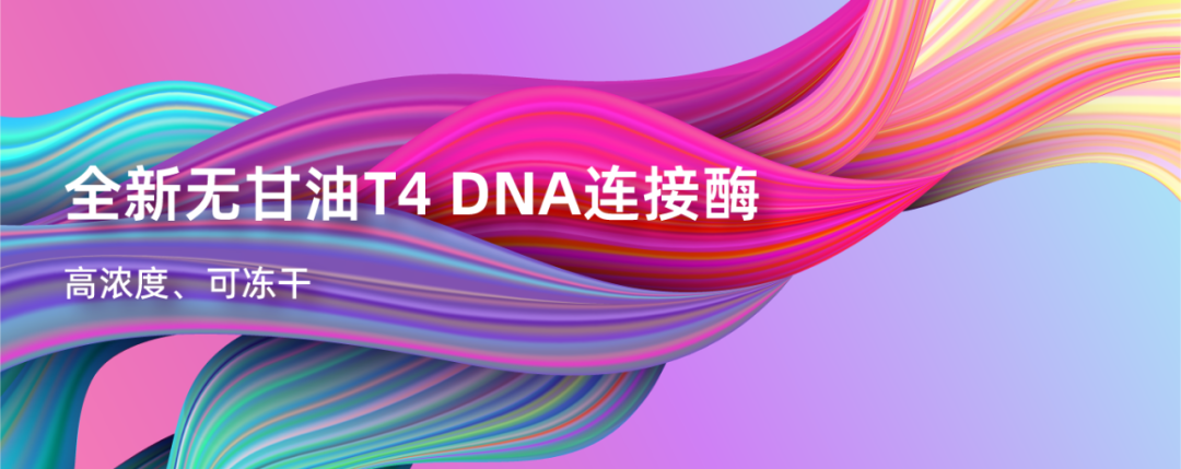 【新品】迈迪安2023年首个新品隆重上市：高浓度/可冻干T4 DNA连接酶