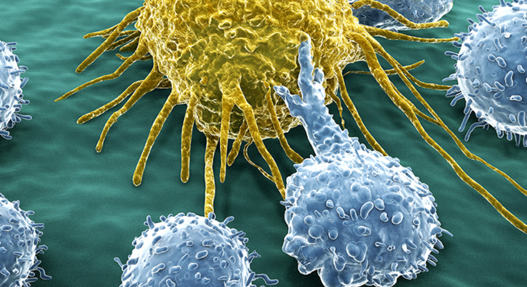 【Nature】癌细胞比想象中更扛“饿”，研究表明肿瘤缓慢代谢为生长和转移保存能量