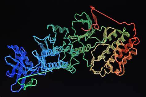 【Nature子刊】“中毒”的蛋白质如何促癌生长？新研究发现DNA甲基转移酶激活致癌基因的机制
