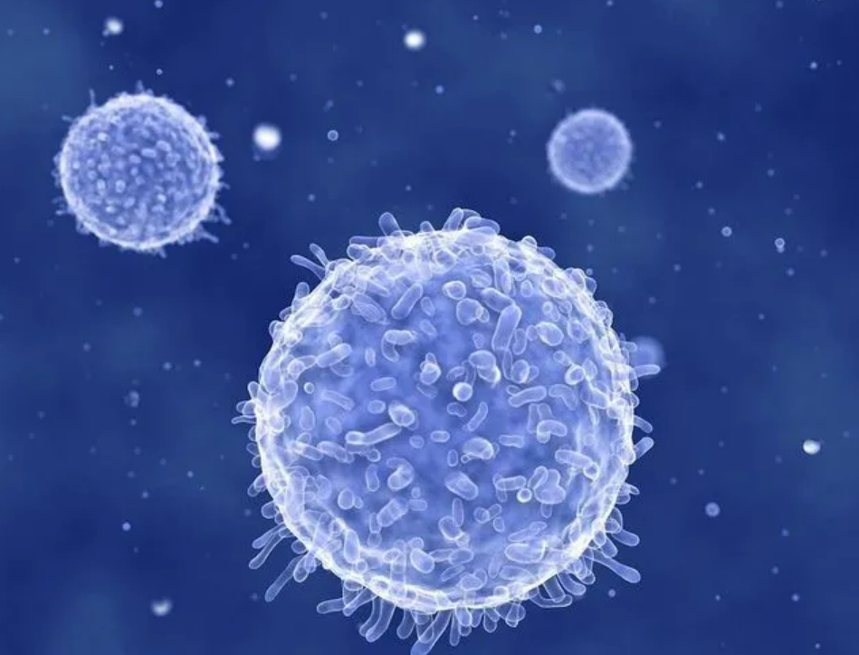 【Cancer Discovery】瑞典卡罗林斯卡学院最新研究：衰老癌细胞可激活免疫细胞，促进抗肿瘤免疫