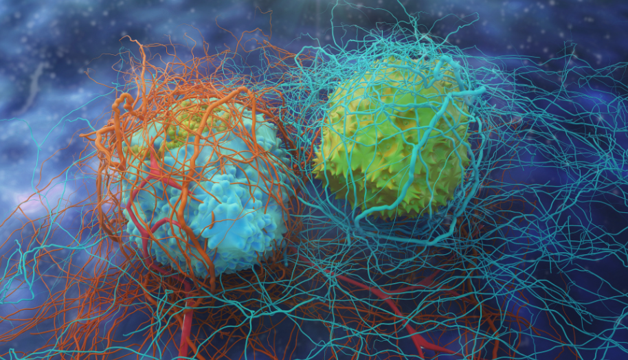 【Nature子刊】纽约大学：通过限制T细胞出口，从而增强肿瘤控制
