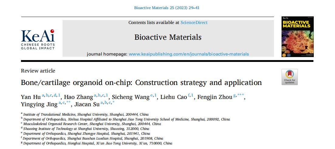 Bioactive Materials | 上海大学转化医学研究院苏佳灿教授/井莹莹教授/西安红会医院周凤金教授发表重要文章：骨软骨类器官芯片构建策略与应用