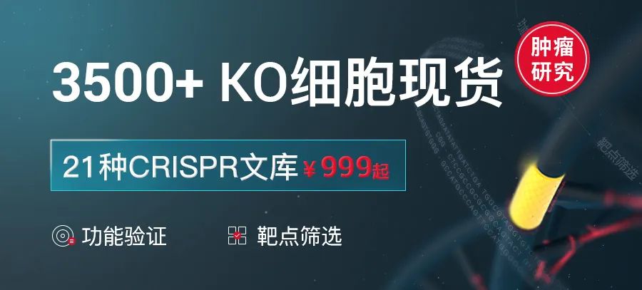 源井生物3500+KO细胞现货+21种CRISPR文库产品，带你玩转细胞基因编辑！