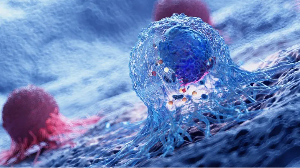 【Cell子刊】临床实验中！可治愈实体肿瘤的融合蛋白诞生了！