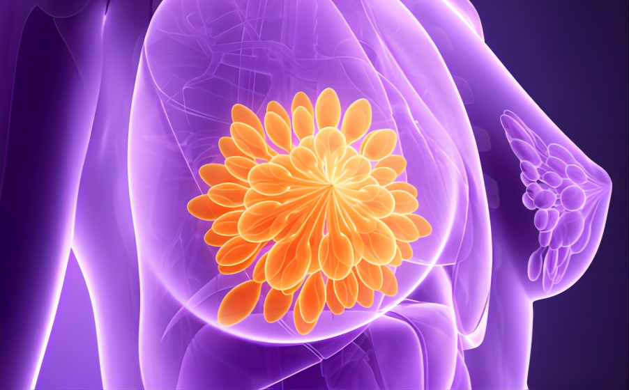 最新！厦门大学刘文团队再发文 联合生命科学学院共同揭秘乳腺癌治疗新靶点