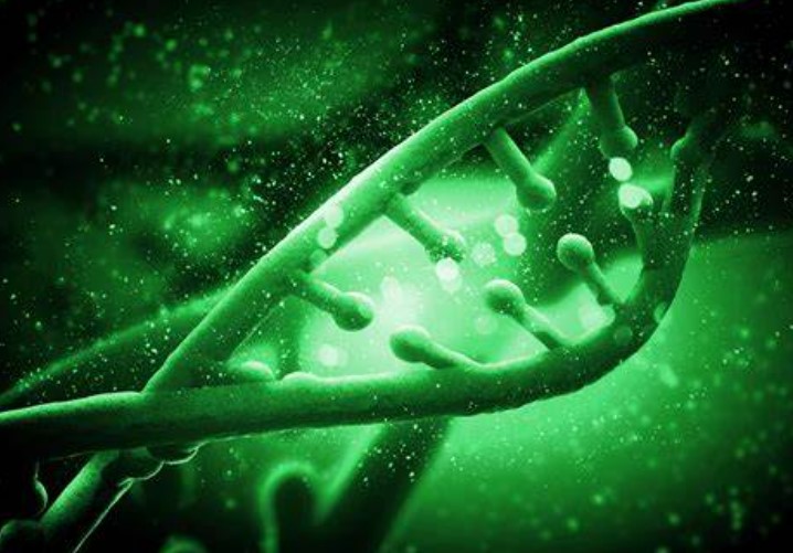 【Science】三重“强化”！挑战98%的基因组！纽约大学运用CRISPR和单细胞测序解析靶基因和因果变异机制