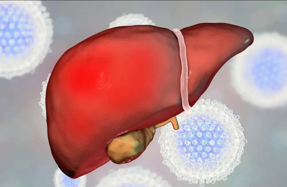 最新！重庆医科大学发现肝细胞癌进展新机制 揭示肝细胞癌治疗新策略