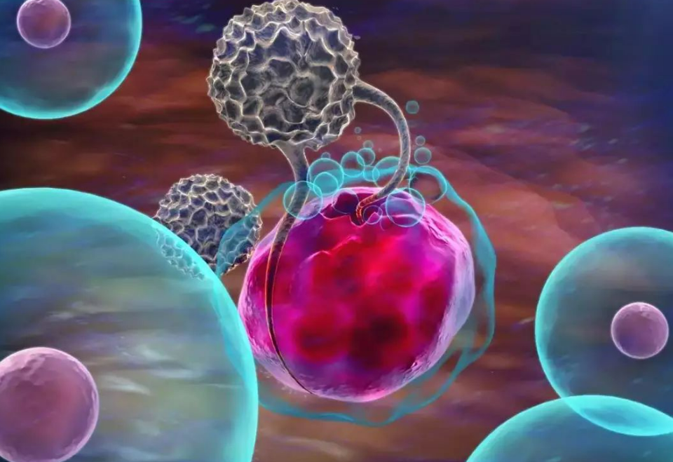 【Nature】微生物或通过T细胞交叉反应，影响抗肿瘤免疫